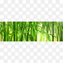 ��Ȼ����-������