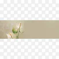 ��Ȼ����-������