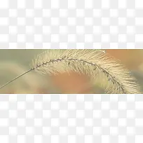 ×ÔÈ»±³¾°-¿ÕÈôÍø ×ÔÈ»±³¾°-¿ÕÈôÍø