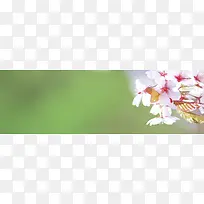 自然背景-空若网 自然背景-空若网