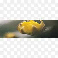 ��Ȼ����-������