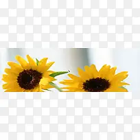 自然背景-空若网 自然背景-空若网