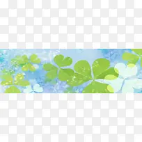 ��Ȼ����-������