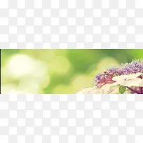 ��Ȼ����-������