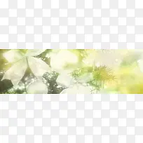 自然背景-空若网 自然背景-空若网