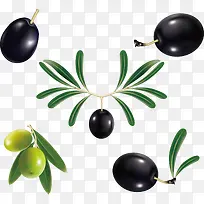 矢量橄榄素材-空若网 矢量橄榄素材-空若网