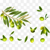 �����֦-������