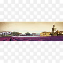 ޹�²ݱ���-������