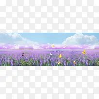 ޹�²ݱ���-������