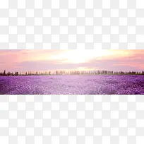 ޹�²ݱ���-������