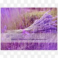 ޹�²ݱ���-������