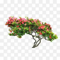 Ê÷-¿ÕÈôÍø Ê÷-¿ÕÈôÍø