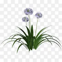 ޹�²�-������