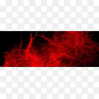 ��ɫ����-������