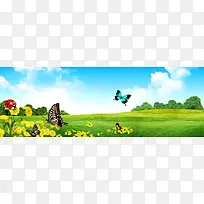 ��Ȼ����-������