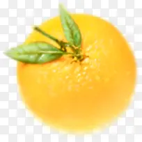 ����png�ز�-������