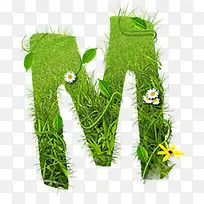 绿草m毕业季-空若网 绿草m毕业季-空若网