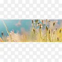 ���ʵĲ�-������