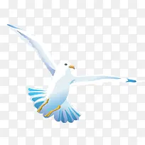 卡通和平鸽-空若网 卡通和平鸽-空若网