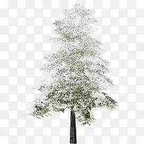 ��-������