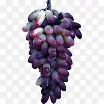 水果-空若网 水果-空若网