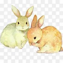 �����ֻ�����-������