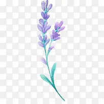 Þ¹Ò²Ý-¿ÕÈôÍø Þ¹Ò²Ý-¿ÕÈôÍø