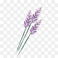 Þ¹Ò²Ý-¿ÕÈôÍø Þ¹Ò²Ý-¿ÕÈôÍø