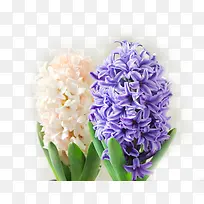 Þ¹Ò²Ý-¿ÕÈôÍø Þ¹Ò²Ý-¿ÕÈôÍø