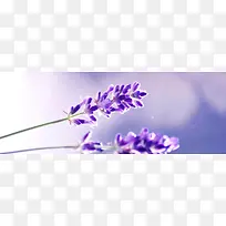 Þ¹Ò²Ý-¿ÕÈôÍø Þ¹Ò²Ý-¿ÕÈôÍø