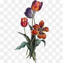 手绘炫彩花朵创意-空若网 手绘炫彩花朵创意-空若网