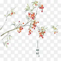 手绘枸杞-空若网 手绘枸杞-空若网