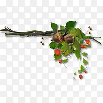 栗子png素材-空若网 栗子png素材-空若网