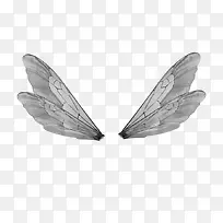 蜻蜓翅膀-空若网 蜻蜓翅膀-空若网