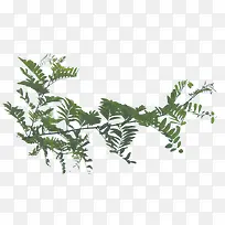 Ê÷֦ʵ¾°ÔªËØ-¿ÕÈôÍø Ê÷֦ʵ¾°ÔªËØ-¿ÕÈôÍø