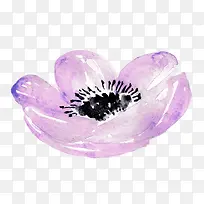 ��ɫ����ˮȾ-������