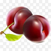 李子png矢量素材-空若网 李子png矢量素材-空若网
