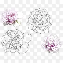 Êֻ濵ÄËܰ-¿ÕÈôÍø Êֻ濵ÄËܰ-¿ÕÈôÍø