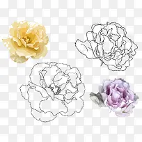 �ֻ濵��ܰ-������