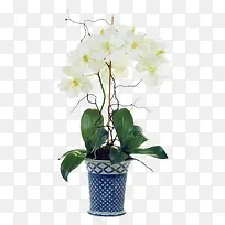 白色插花装饰-空若网 白色插花装饰-空若网