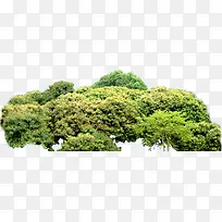 ��-������