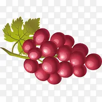 提子装饰设计矢量-空若网 提子装饰设计矢量-空若网