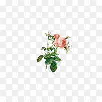 �ֻ滨���ʻ��ز�-������