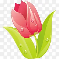 高清手绘卡通郁金香-空若网 高清手绘卡通郁金香-空若网