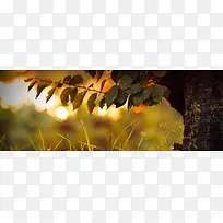 ����-������