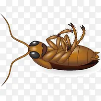 蟑螂矢量设计创意-空若网 蟑螂矢量设计创意-空若网