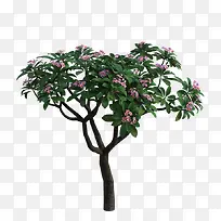 一株红花绿叶的树-空若网 一株红花绿叶的树-空若网