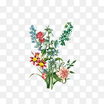 群花手绘鲜花组合-空若网 群花手绘鲜花组合-空若网