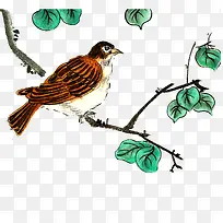 国画工笔花鸟春天树枝PNG-空若网 国画工笔花鸟春天树枝PNG-空若网