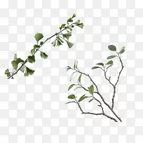 Á½ÌõÂÌÉ«Ê÷Ö¦-¿ÕÈôÍø Á½ÌõÂÌÉ«Ê÷Ö¦-¿ÕÈôÍø